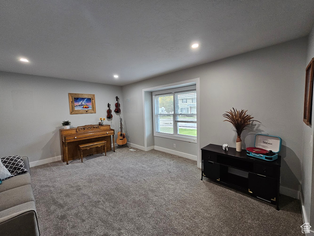 Sitting room with carpet flooring