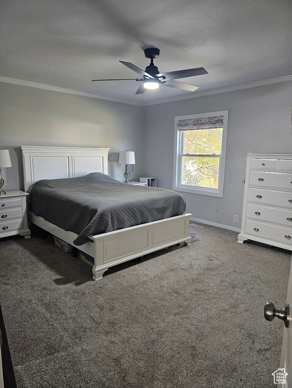 Bedroom with a textured ceiling, dark colored carpet, ceiling fan, and crown molding