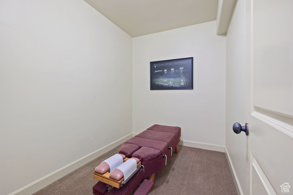 Sitting room featuring light carpet