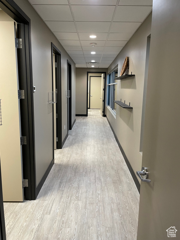 Hall featuring a drop ceiling and light hardwood / wood-style flooring