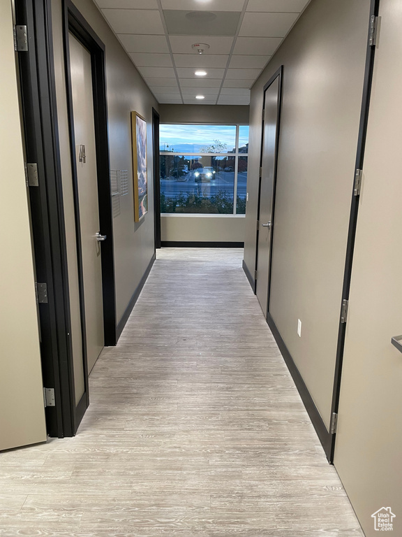 Corridor with light hardwood / wood-style flooring and a drop ceiling