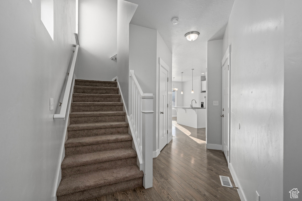 Staircase featuring hardwood / wood-style floors and sink