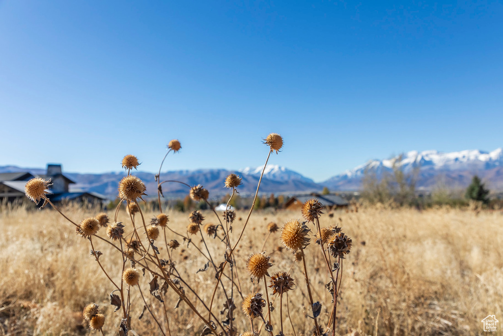 Property view of mountains