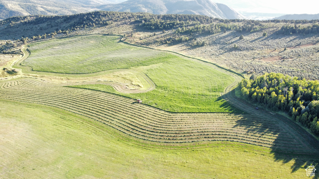 Drone / aerial view featuring a mountain view and a rural view