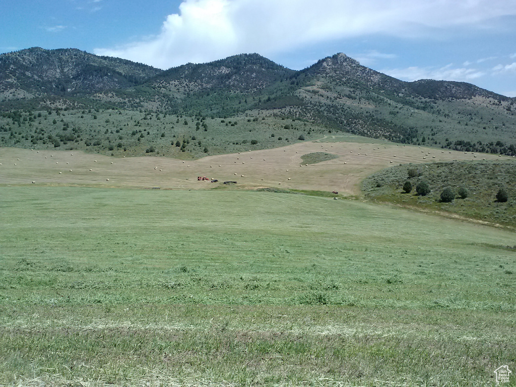 Mountain view