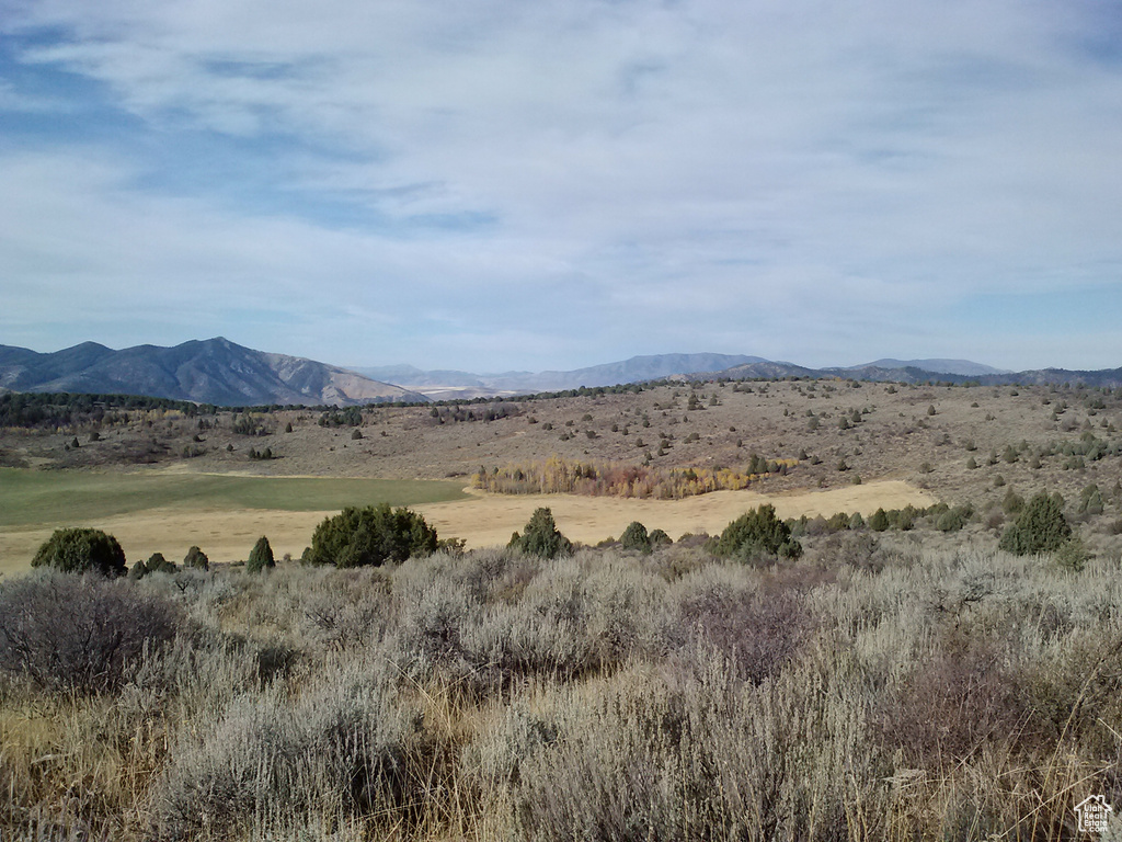 Mountain view