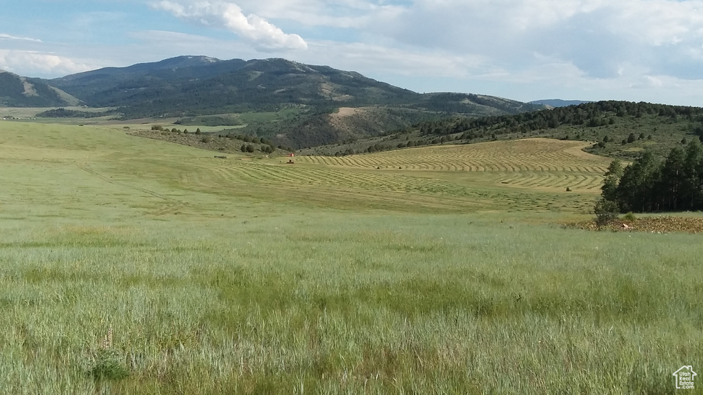 Mountain view featuring a rural view