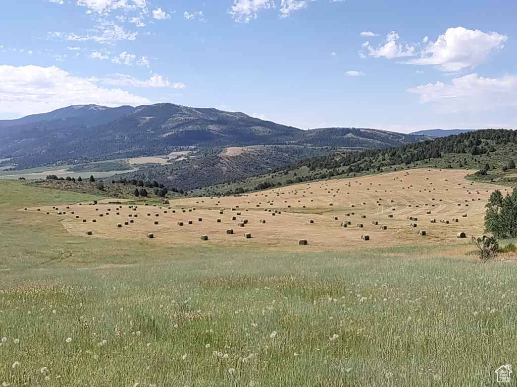 Property view of mountains with a rural view