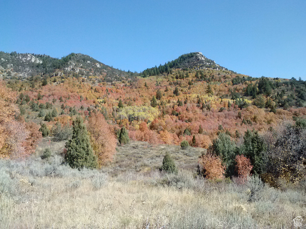Property view of mountains