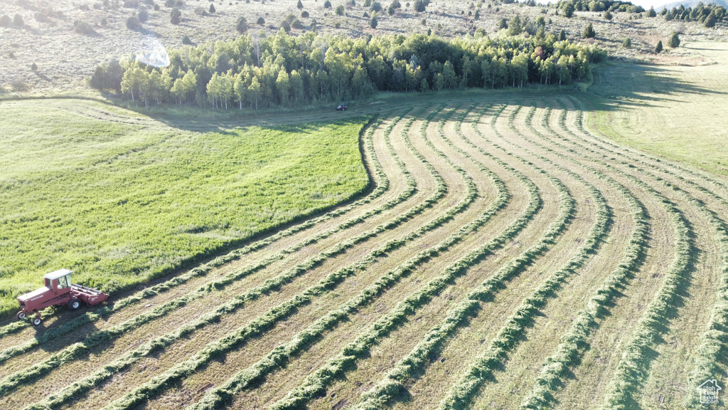 Drone / aerial view featuring a rural view