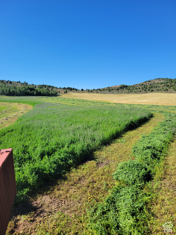 View of yard with a rural view