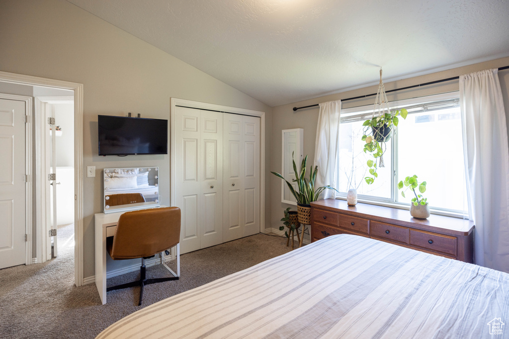 Carpeted bedroom with a closet and lofted ceiling