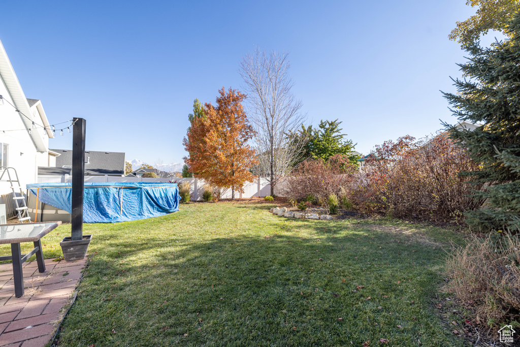 View of yard with a covered pool