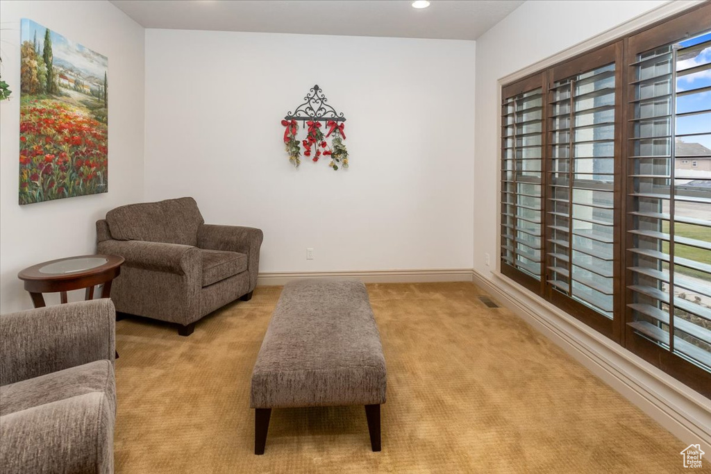 Living area with light colored carpet