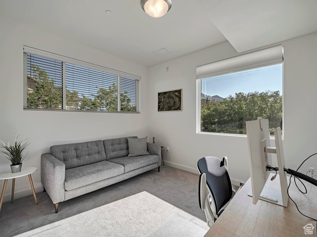 Carpeted home office with healthy amount of natural light