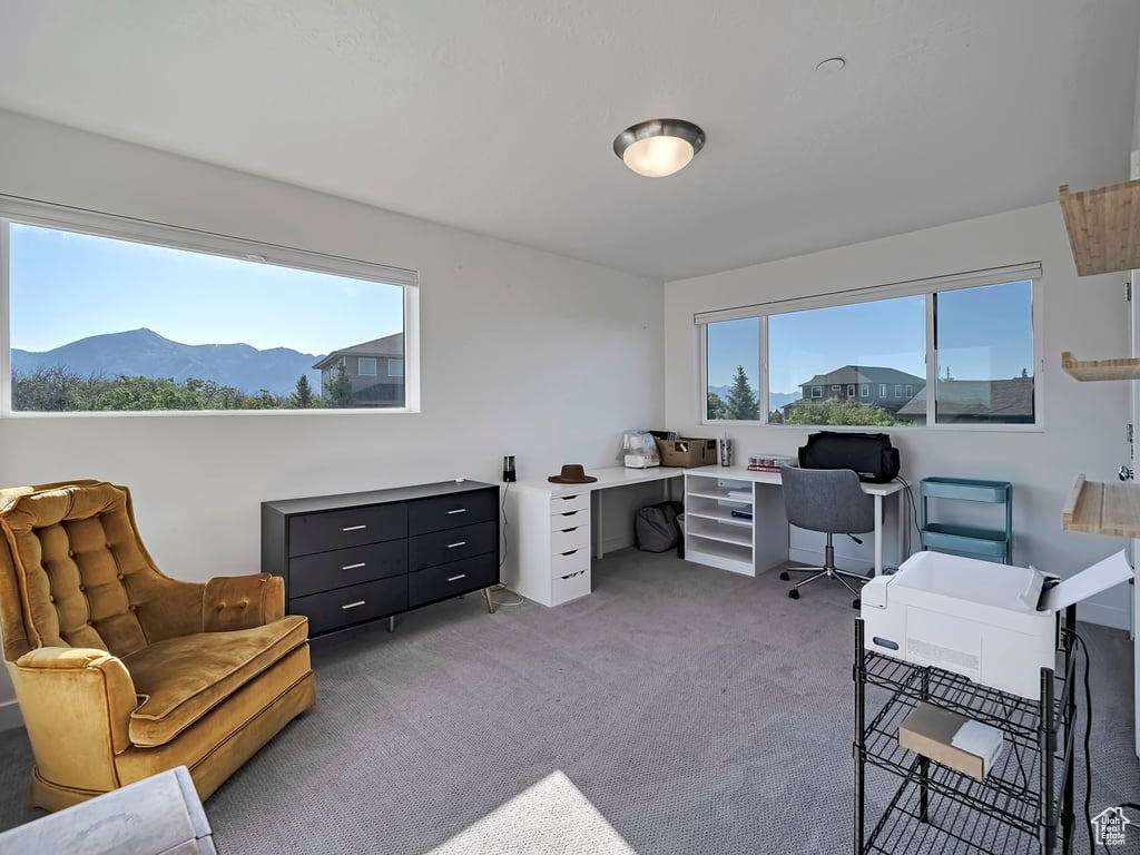 Office space with light colored carpet and a mountain view