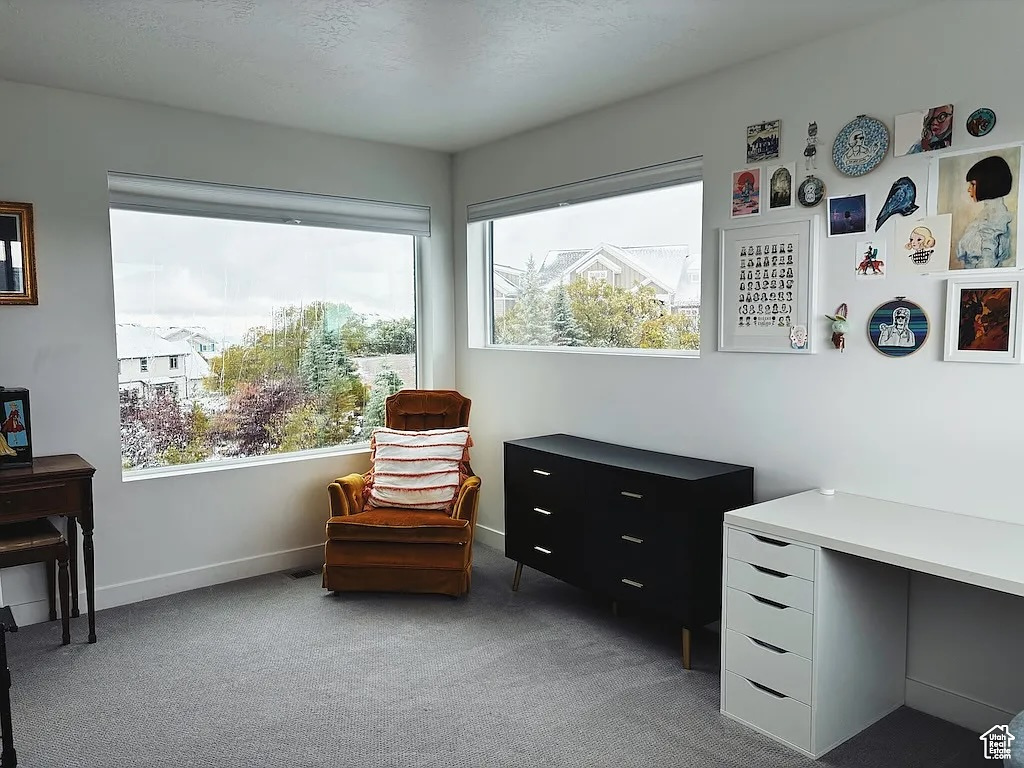 Sitting room with light colored carpet and baseboards