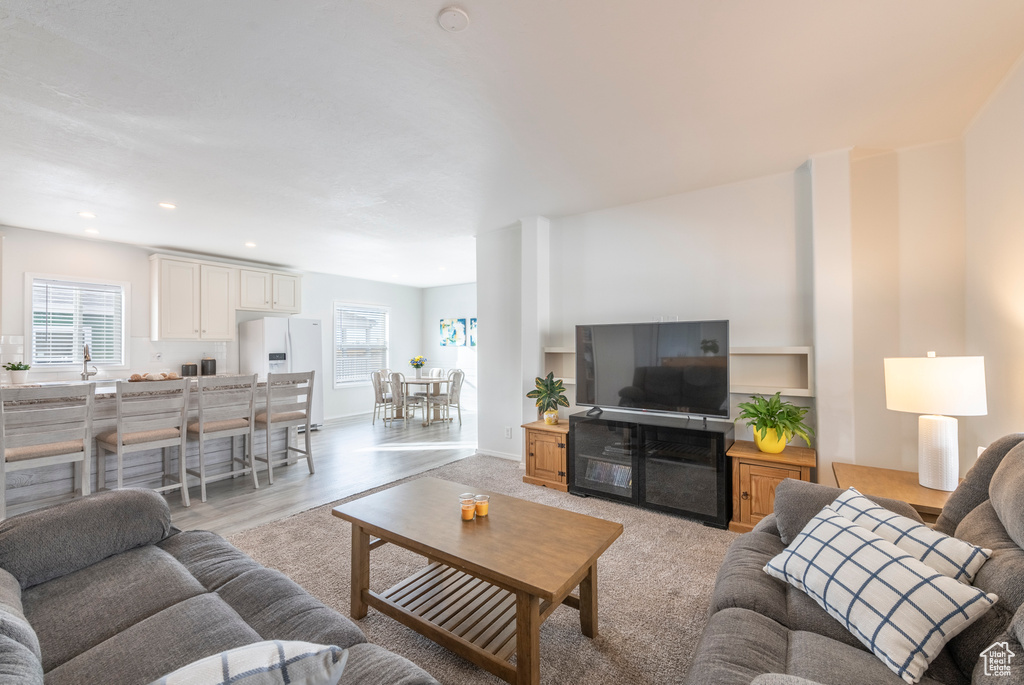 Living room featuring light hardwood / wood-style flooring