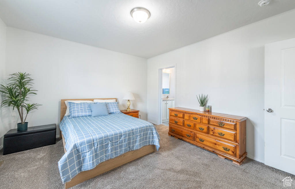 Bedroom featuring carpet