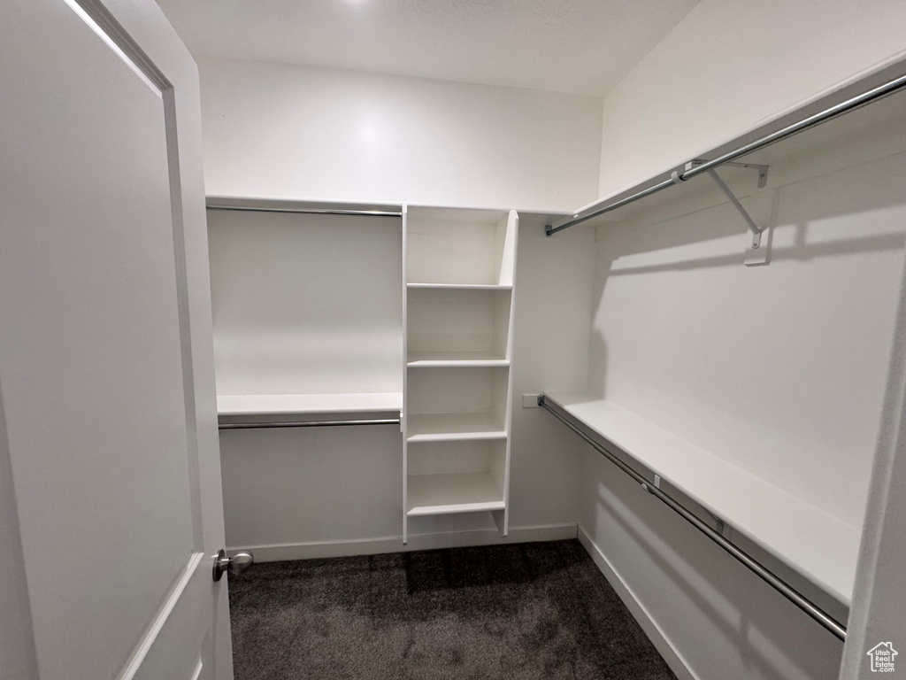 Spacious closet featuring dark carpet