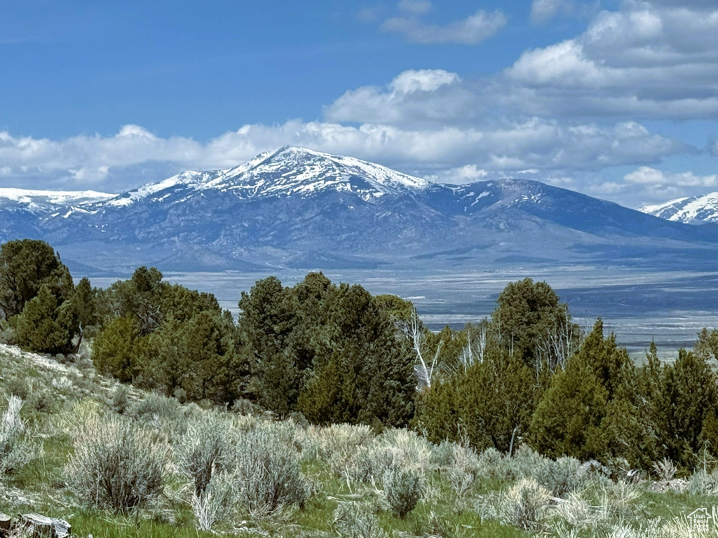 View of mountain background