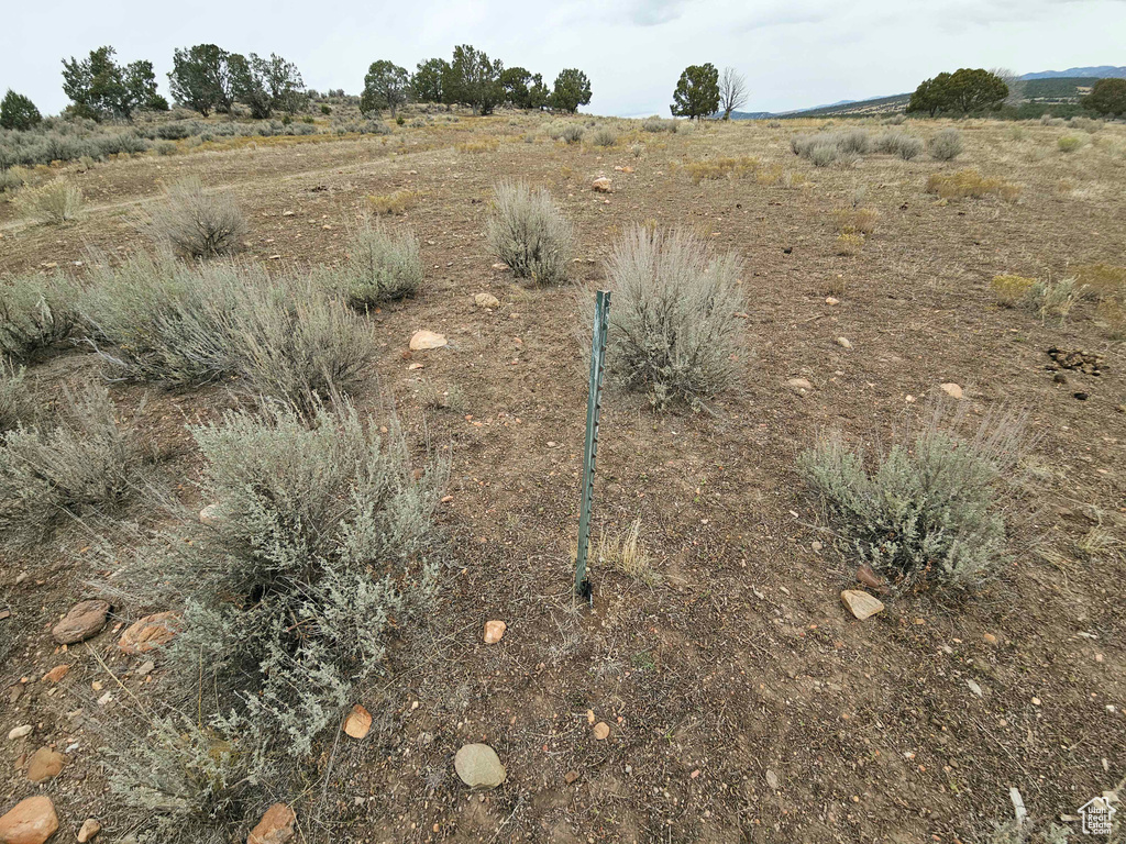 View of landscape featuring a rural view