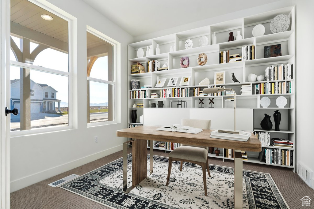 Carpeted office space featuring a healthy amount of sunlight