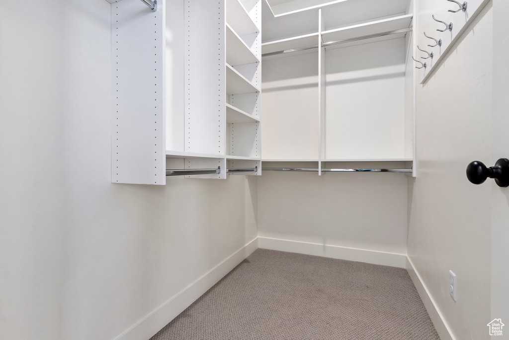 Spacious closet featuring carpet