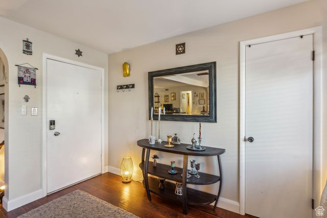 Foyer with dark hardwood / wood-style floors