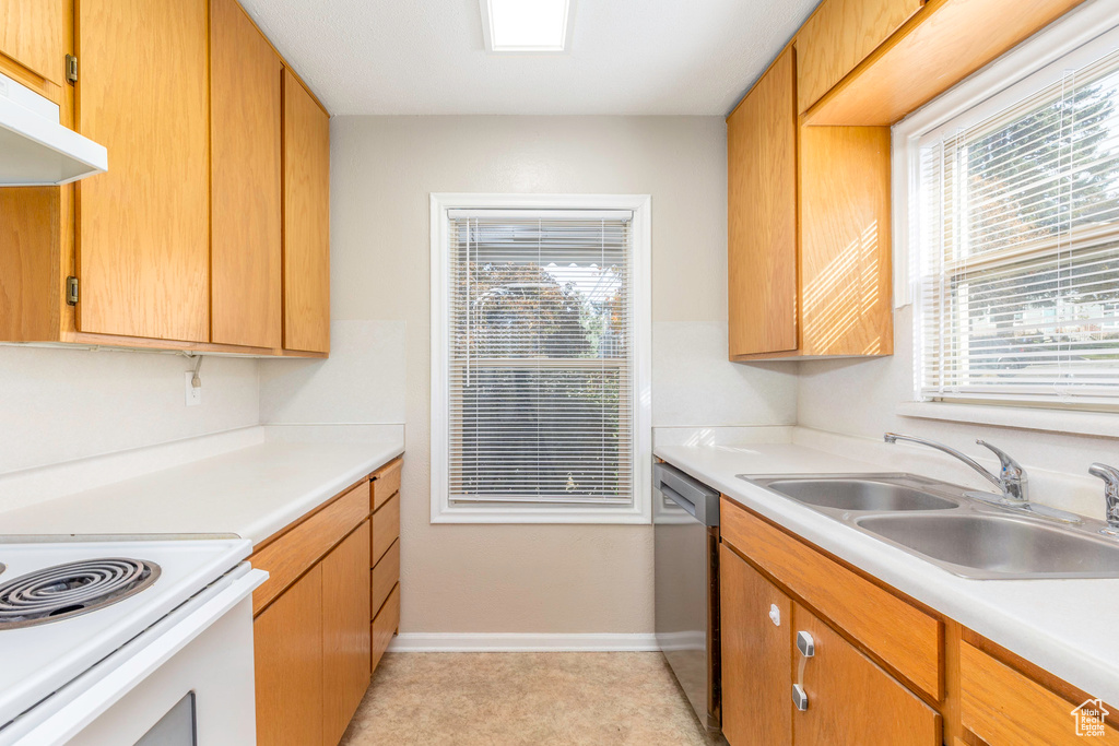 Kitchen featuring stainless steel dishwasher and sink