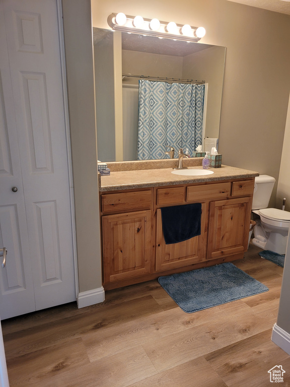 Bathroom with hardwood / wood-style floors, vanity, toilet, and a shower with curtain