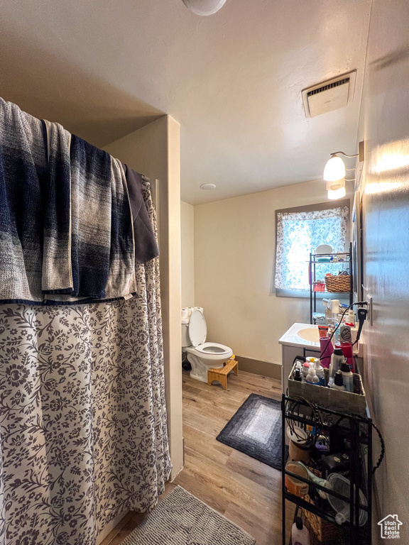 Bathroom with wood-type flooring, vanity, and toilet