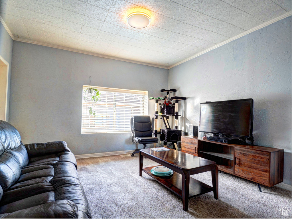 Living room with crown molding and carpet floors