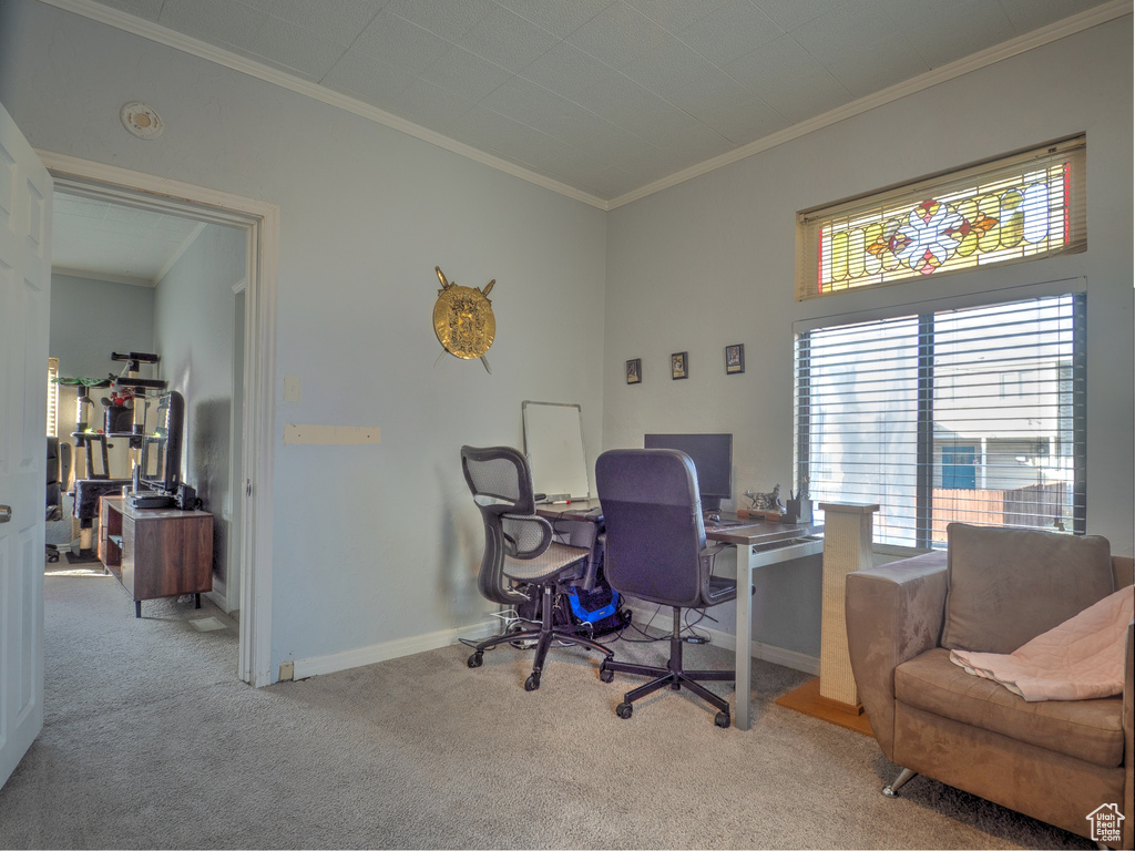 Office area with light colored carpet and ornamental molding