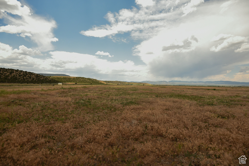 View of local wilderness with rural landscape