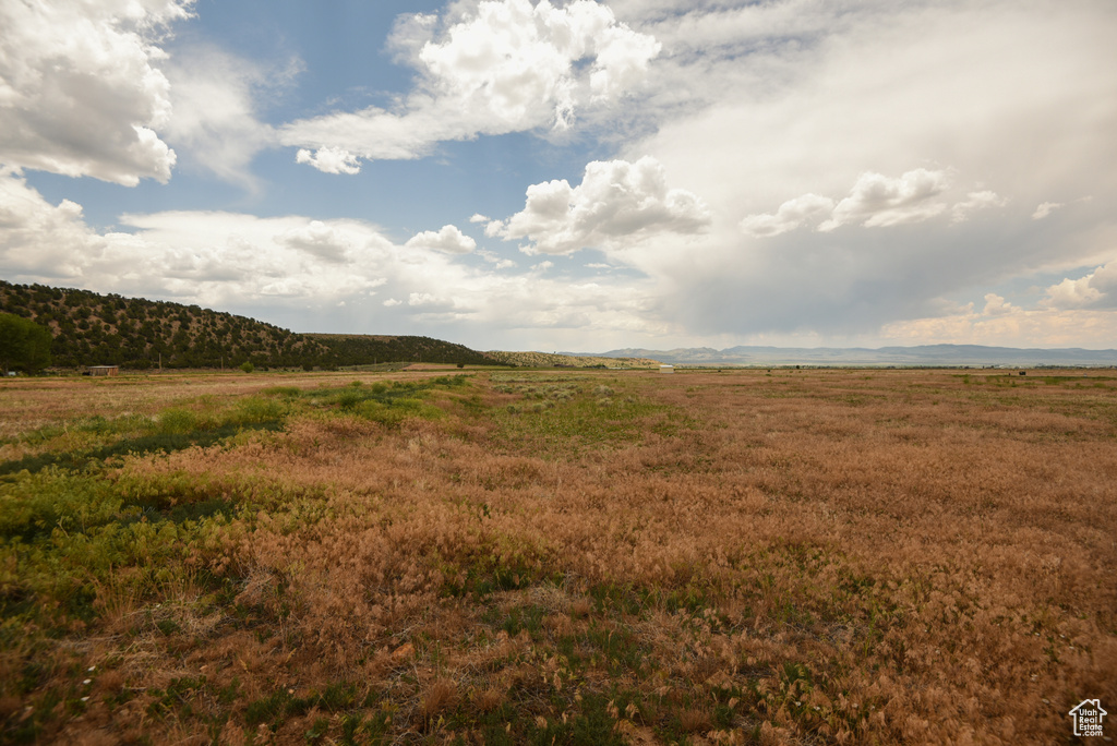 View of local wilderness with rural landscape