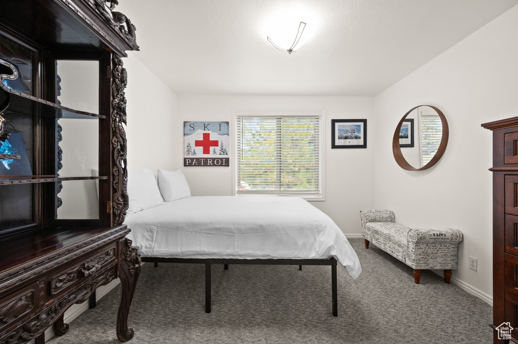 Bedroom featuring carpet floors
