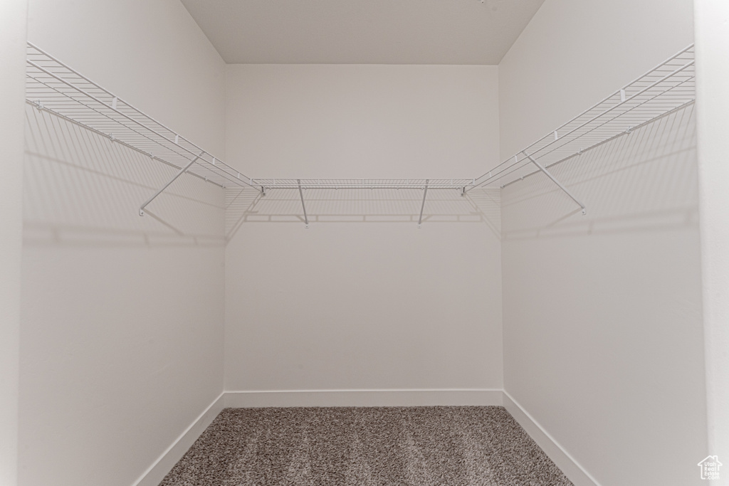 Spacious closet featuring carpet