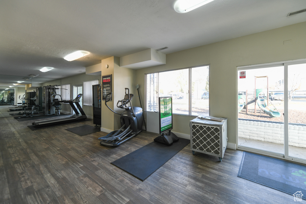 Exercise room featuring dark hardwood / wood-style floors