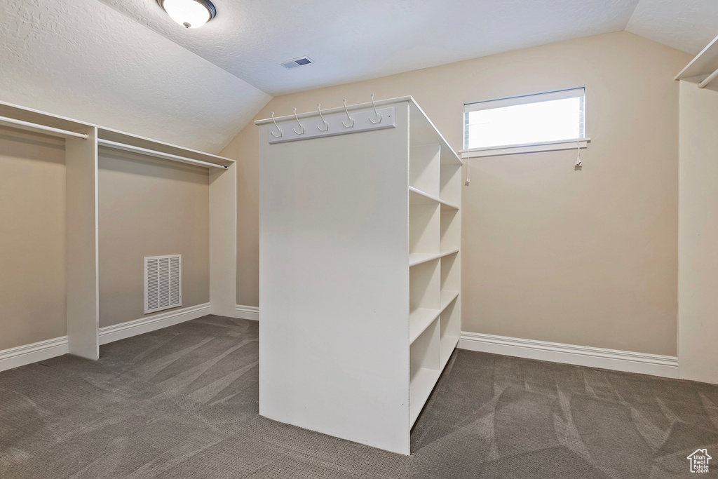 Walk in closet with carpet and lofted ceiling