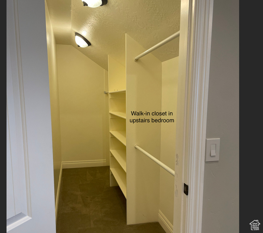 Spacious closet with dark carpet and lofted ceiling