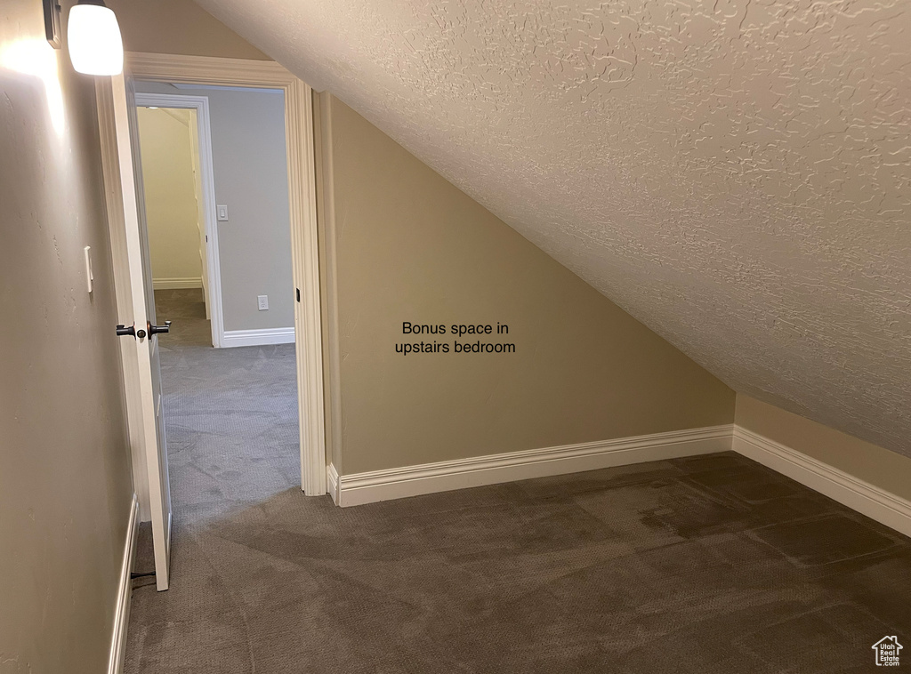 Additional living space with dark carpet, a textured ceiling, and vaulted ceiling