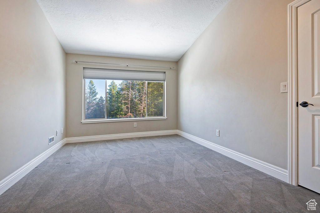 Unfurnished room featuring carpet flooring and a textured ceiling