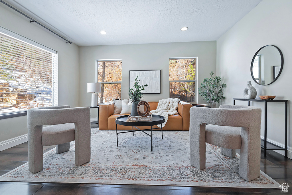 Sitting room with a healthy amount of sunlight and a textured ceiling