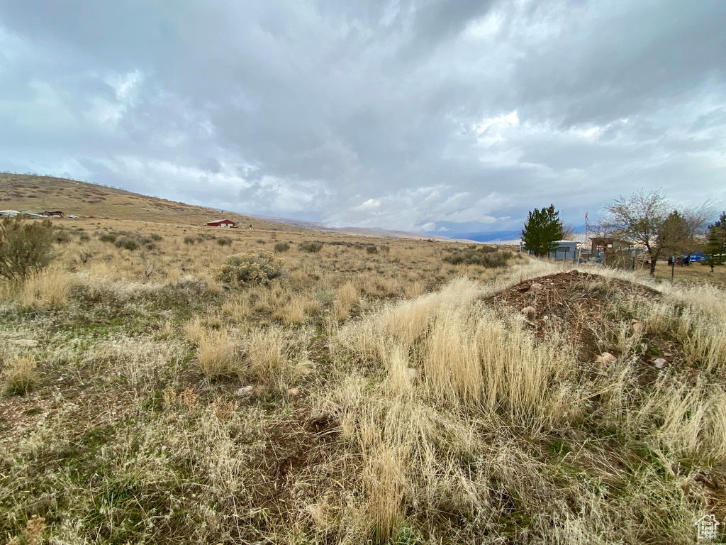 View of local wilderness with a rural view