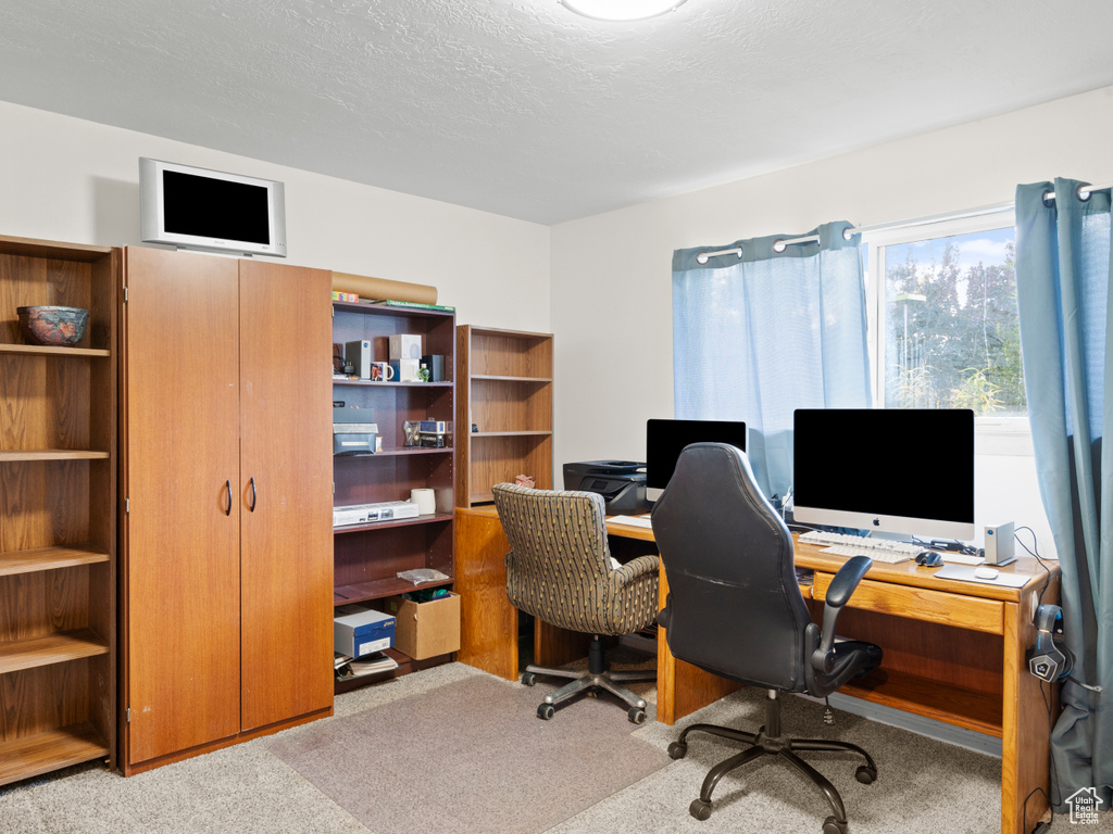 Office space featuring light colored carpet and a textured ceiling