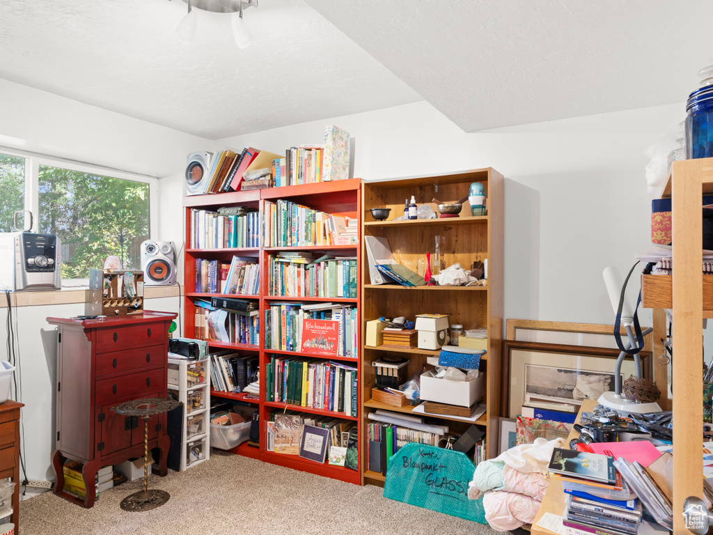 Interior space with carpet flooring