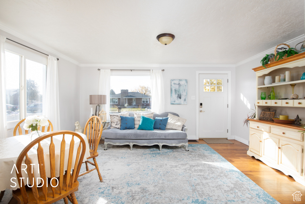 Living room with ornamental molding, light hardwood / wood-style floors, and a healthy amount of sunlight