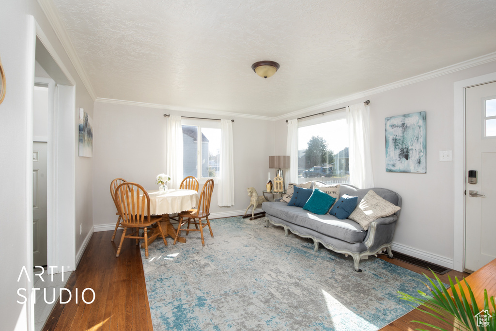 Living room featuring a textured ceiling, dark hardwood / wood-style flooring, and crown molding