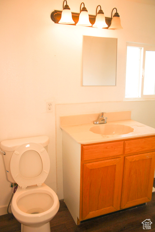 Bathroom featuring wood-type flooring, vanity, and toilet